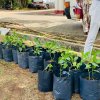 Home Gardening at Vavuniya District Secretariat-25.08.2022